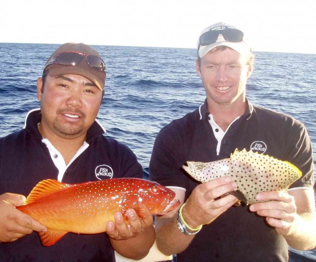 barramundi cod and trout